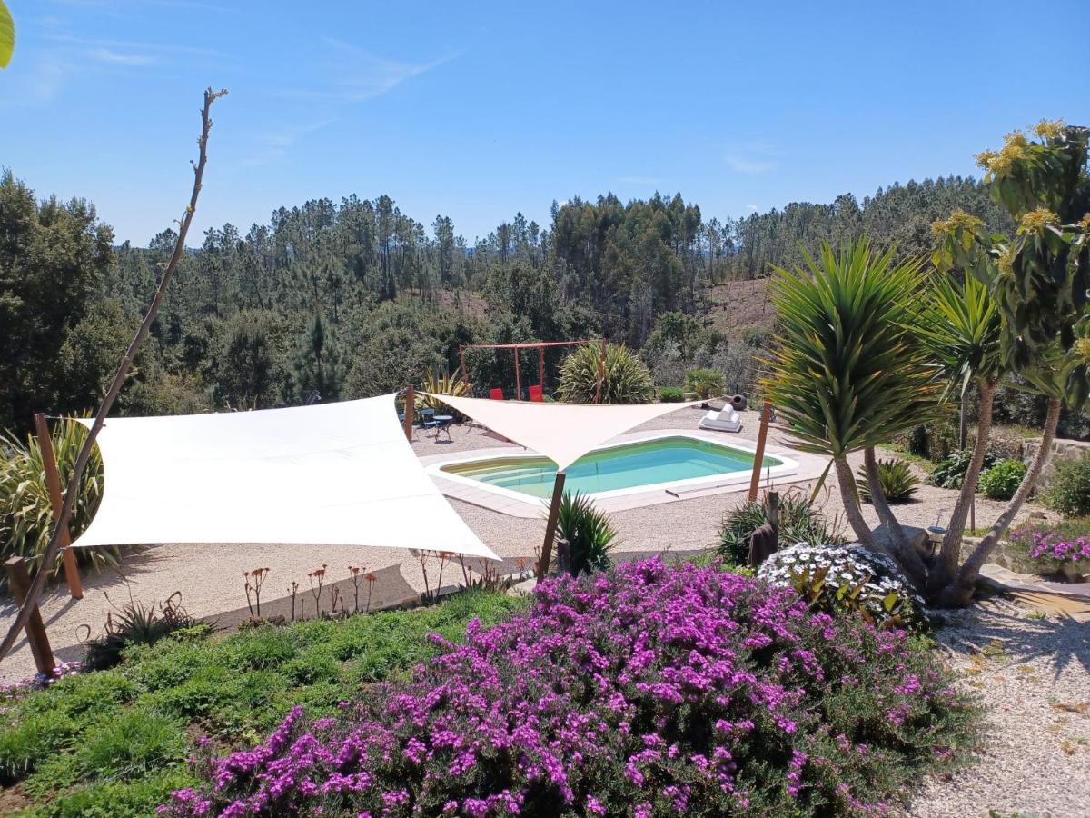 Bed and Breakfast Quinta Quatro Ventos Sertã Exterior foto